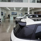 BYD Dolphin Rear Trunk Lid Spoiler